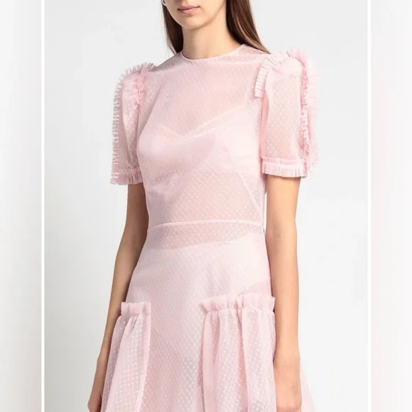NWT The Vampire's Wife The Fairy Goddess Pink Embellished Tulle Mini Dress - Picture 3 of 10